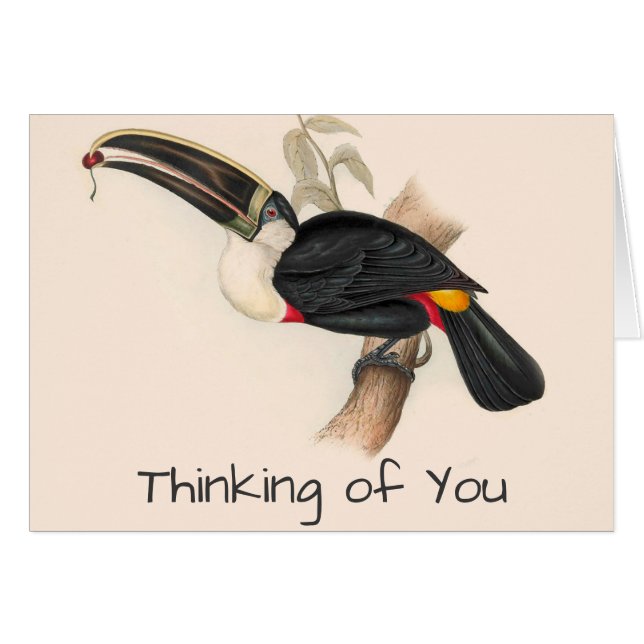 Antique Toucan Bird Wildlife Painting (Front Horizontal)