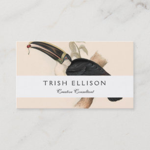 Antique Toucan Bird Wildlife Painting Business Card