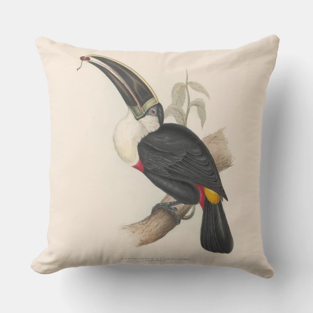 Antique Toucan Bird Wildlife Painting Cushion (Front)