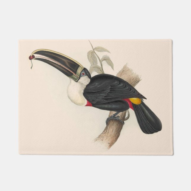 Antique Toucan Bird Wildlife Painting Doormat (Front)