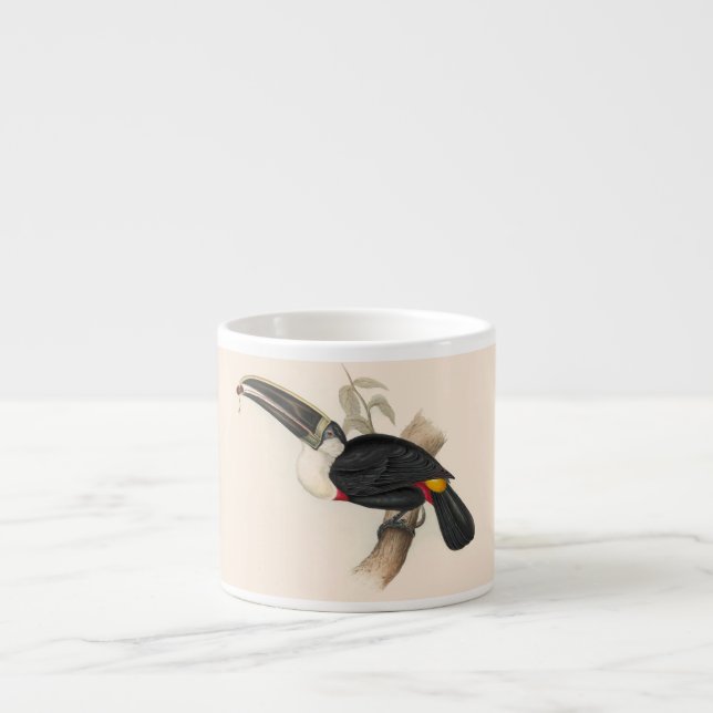 Antique Toucan Bird Wildlife Painting Espresso Cup (Front)