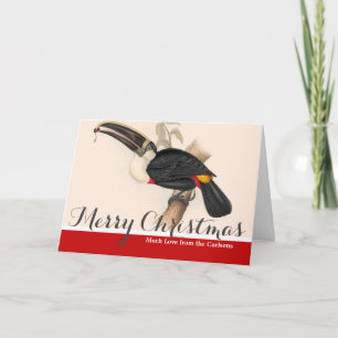 Antique Toucan Bird Wildlife Painting Holiday Card
