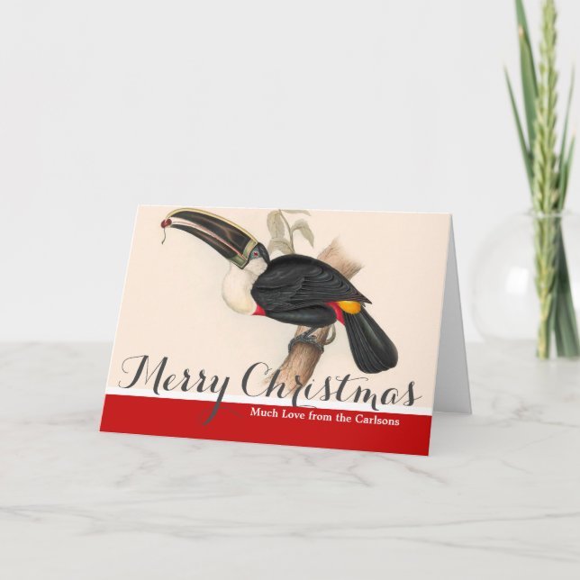 Antique Toucan Bird Wildlife Painting Holiday Card (Front)