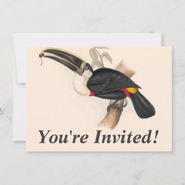 Antique Toucan Bird Wildlife Painting Invitation (Front)