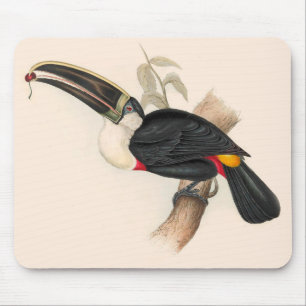 Antique Toucan Bird Wildlife Painting Mouse Mat