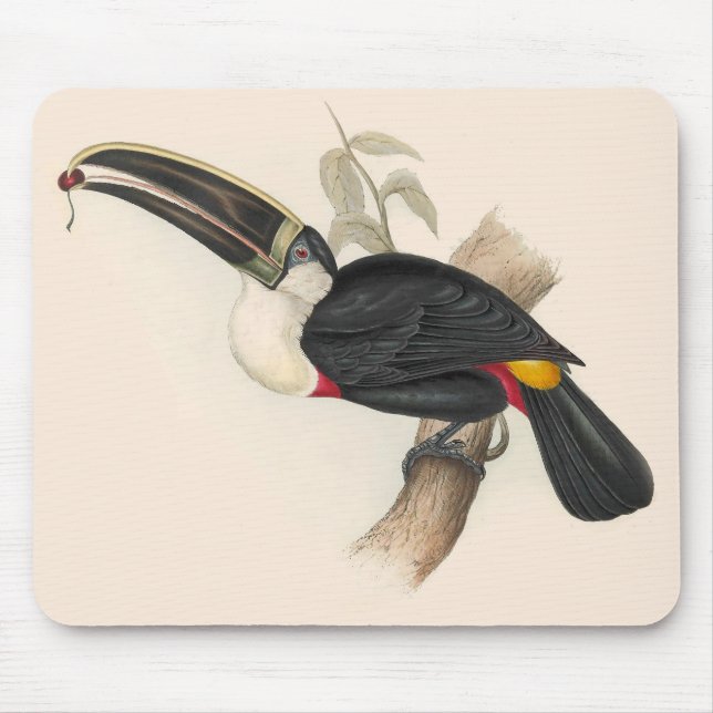 Antique Toucan Bird Wildlife Painting Mouse Mat (Front)