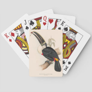 Antique Toucan Bird Wildlife Painting Playing Cards