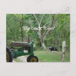 antique tractor & turkey Postcard- customise Postcard