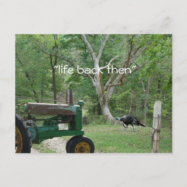 antique tractor & turkey Postcard- customise Postcard (Front)