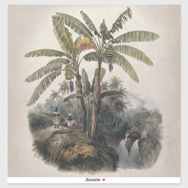 Antique Tropical Banana Tree Forest | Vintage Bota (Sheet)