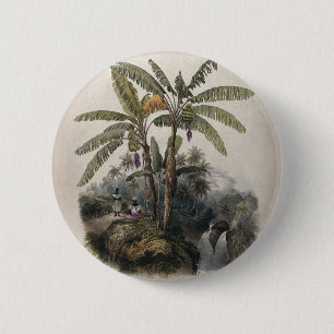 Antique Tropical Banana Tree Forest   Vintage Bota 6 Cm Round Badge