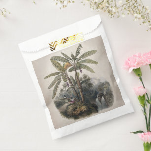Antique Tropical Banana Tree Forest Vintage Bota Favour Bags