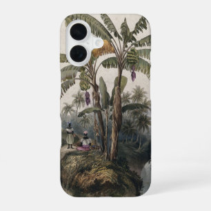 Antique Tropical Banana Tree Forest Vintage Bota iPhone 16 Case