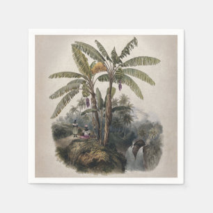 Antique Tropical Banana Tree Forest   Vintage Bota Napkin