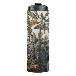 Antique Tropical Banana Tree Forest   Vintage Bota Thermal Tumbler