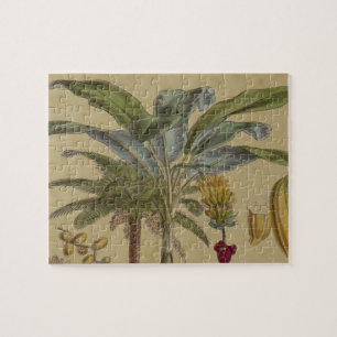 Antique Tropical Palm Fruit Botanical Jigsaw Puzzle