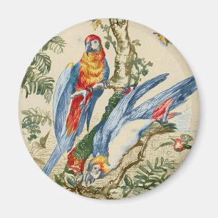 Antique Tropical Parrot and Butterfly Fine Art Magnet