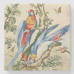 Antique Tropical Parrot and Butterfly Fine Art Stone Coaster