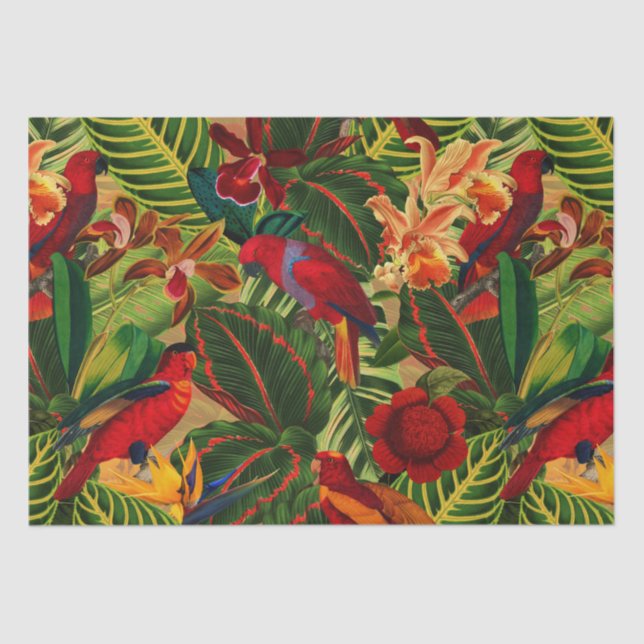 Antique Tropical Parrots Jungle Pattern Tissue Paper (Front)