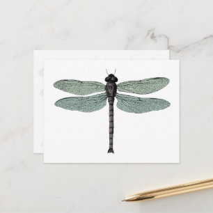 Antique Typographic Vintage Dragonfly Illustration Postcard