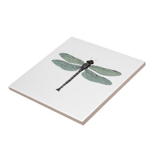 Antique Typographic Vintage Dragonfly Illustration Tile