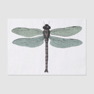 Antique Typographic Vintage Dragonfly Illustration Tissue Paper