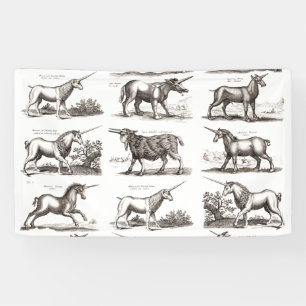 Antique Unicorn Engraving Vintage Zoology Specimen Banner