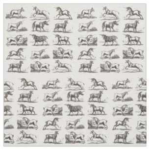 Antique Unicorn Engraving Vintage Zoology Specimen Fabric