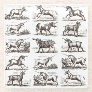 Antique Unicorn Engraving Vintage Zoology Specimen Glass Coaster