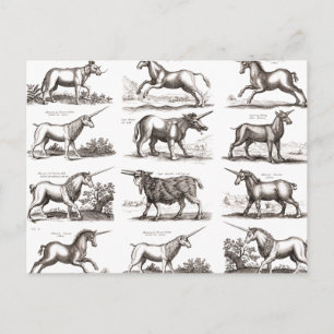 Antique Unicorn Engraving Vintage Zoology Specimen Postcard