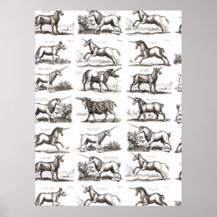 Antique Unicorn Engraving Vintage Zoology Specimen Poster