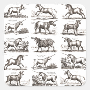 Antique Unicorn Engraving Vintage Zoology Specimen Square Sticker