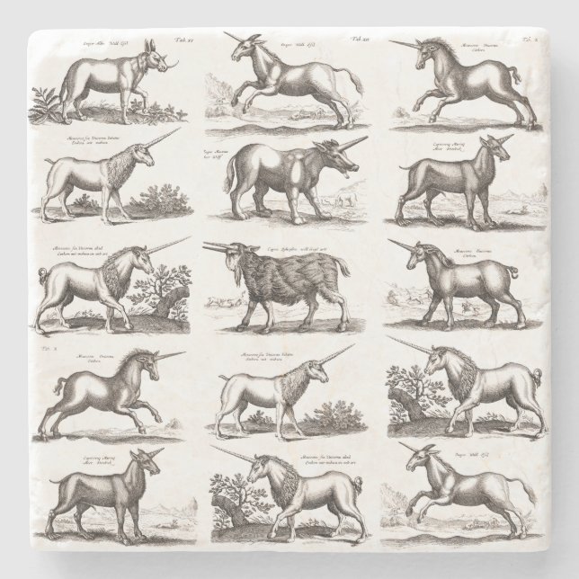 Antique Unicorn Engraving Vintage Zoology Specimen Stone Coaster (Front)