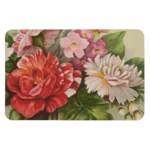 Antique Valentine's Day, L. Prang & Co., 1882 Magnet