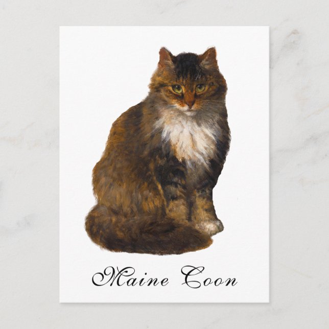 Antique Victorian Maine Coon Cat Portrait Painting Postcard (Front)
