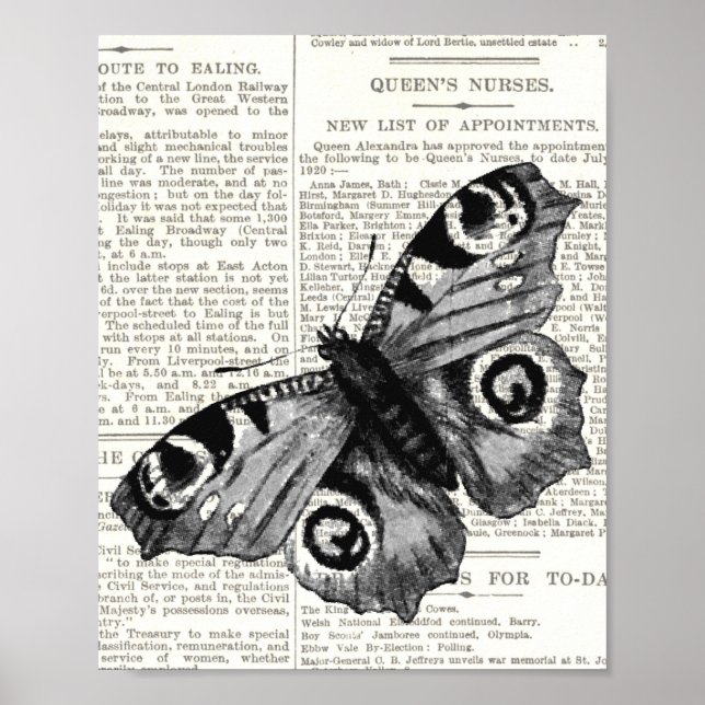 Antique Vintage Butterfly and Script Black & White Poster (Front)