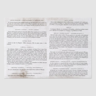 Antique Vintage French Book Pages Decoupage Tissue Paper