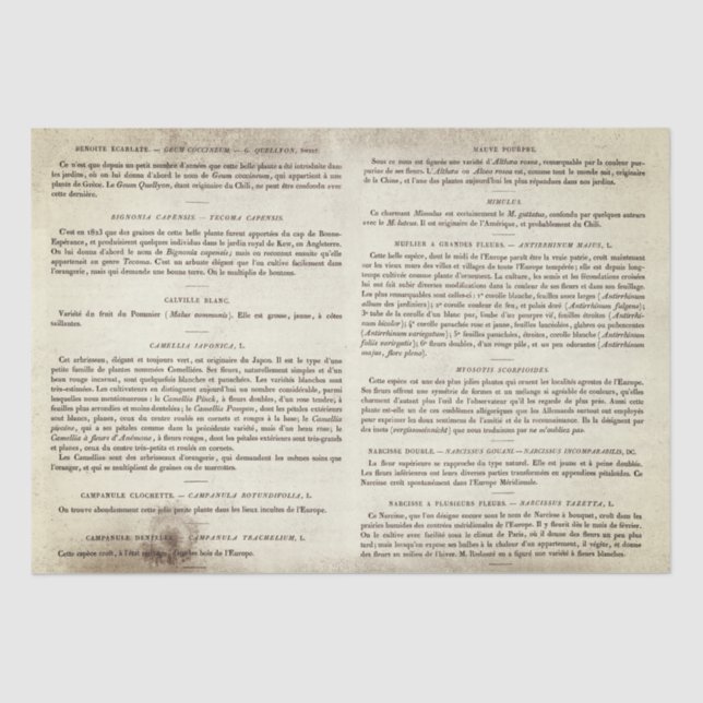 Antique Vintage French Botanical Book Pages  Tissue Paper (Front)