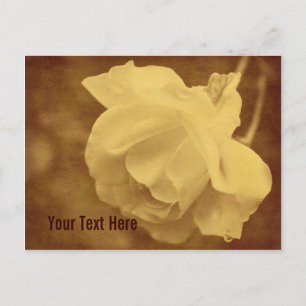 Antique Vintage Rose Flower Customisable Postcard