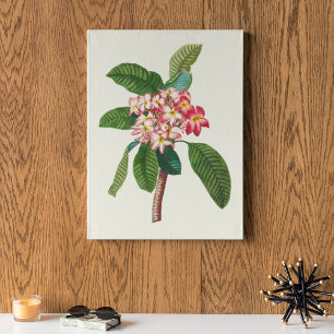Antique Watercolor Botanical Print 