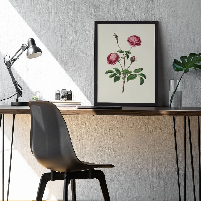 Antique Watercolor Botanical Print (Antique Watercolor Botanical Print)