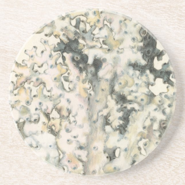 Antique Watercolor Coral Coaster (Front)