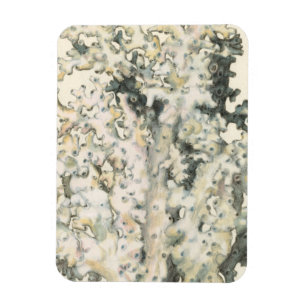 Antique Watercolor Coral Magnet