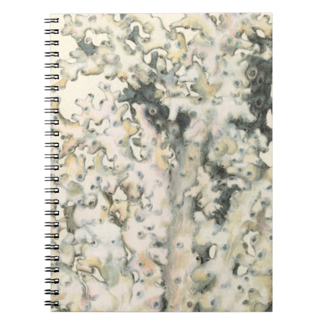 Antique Watercolor Coral Notebook (Front)