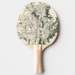 Antique Watercolor Coral Ping Pong Paddle