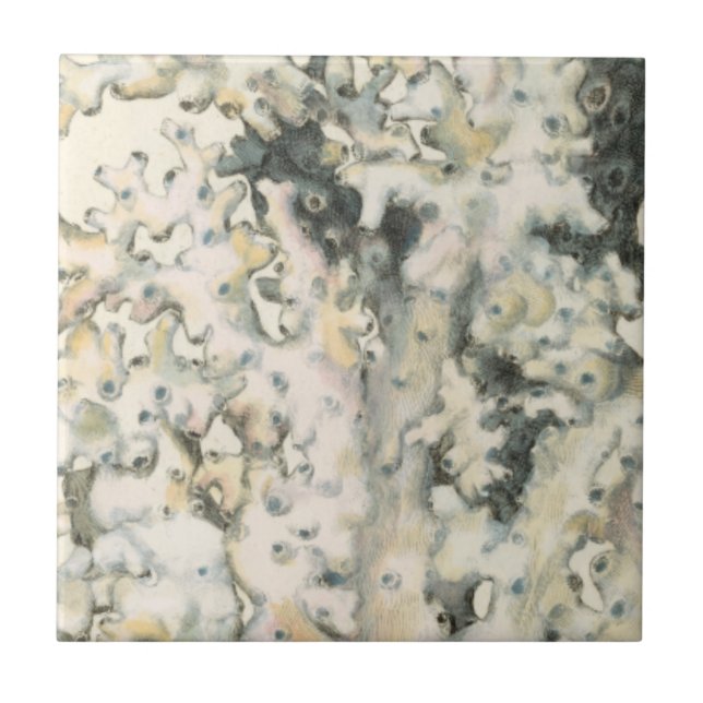 Antique Watercolor Coral Tile (Front)