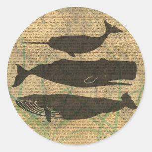 Antique Whale Nautical Sea Life Classic Round Sticker