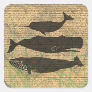 Antique Whale Nautical Vintage Ocean Sea Life Square Sticker