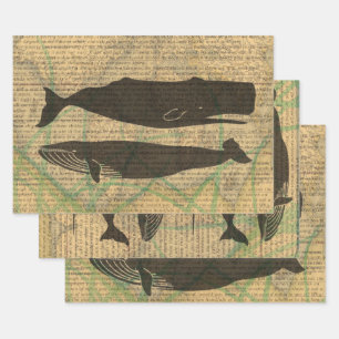 Antique Whale Nautical Vintage Ocean Sea Life Wrapping Paper Sheet