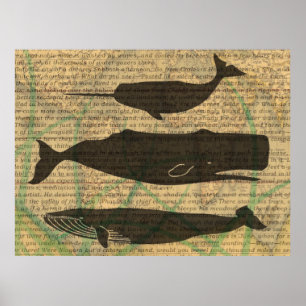 Antique Whale Nautical: Vintage Sea Life Poster